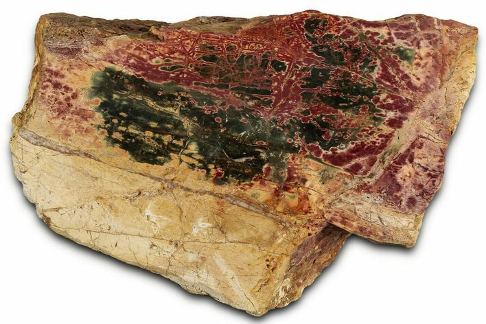 Polished Cherry Creek Jasper - China #326030